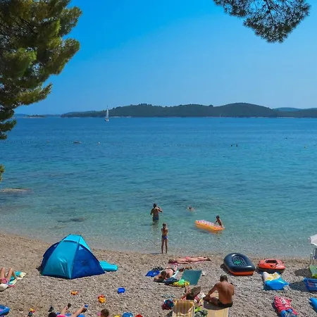 Goga أوروبيتش