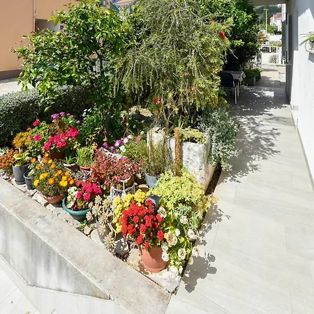 Goga Apartament *