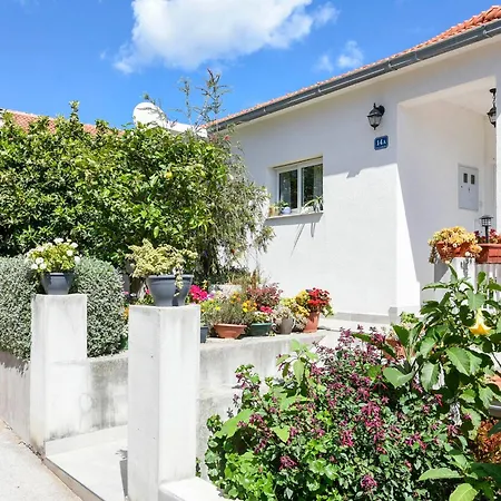 Goga Apartament *